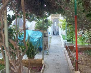 Garden of Planta baja for sale in  Palma de Mallorca