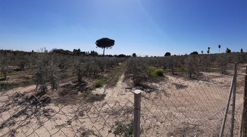 Photo 2 of Land for sale in Calleja las Animas, 14, Villanueva del Ariscal, Sevilla