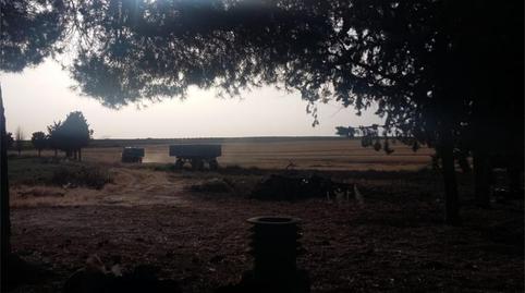 Foto 4 de Finca rústica en venta en Corral de Almaguer, Toledo