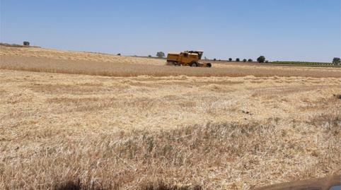 Foto 2 de Finca rústica en venta en Corral de Almaguer, Toledo