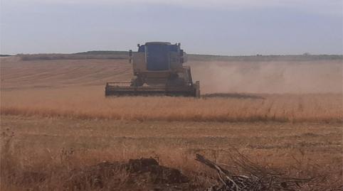 Foto 3 de Finca rústica en venta en Corral de Almaguer, Toledo