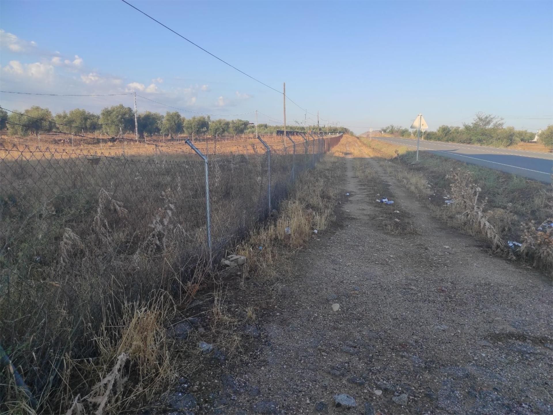 Constructible Land for sale in Polán