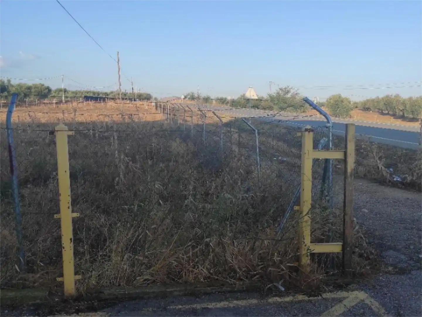 Constructible Land for sale in Polán