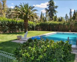 Jardí de Casa o xalet en venda en Ciudad Real Capital amb Aire condicionat, Terrassa i Piscina