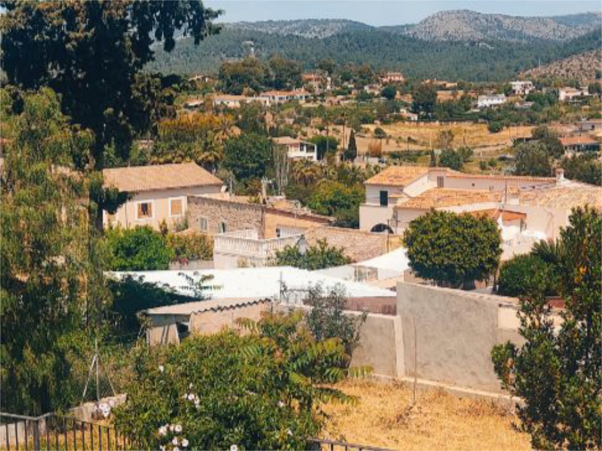Pis per a compartir a Camí del Delme, 49, Establiments