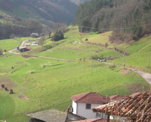 Constructible Land for sale in Tineo