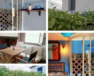 Garden of Country house to rent in Órgiva