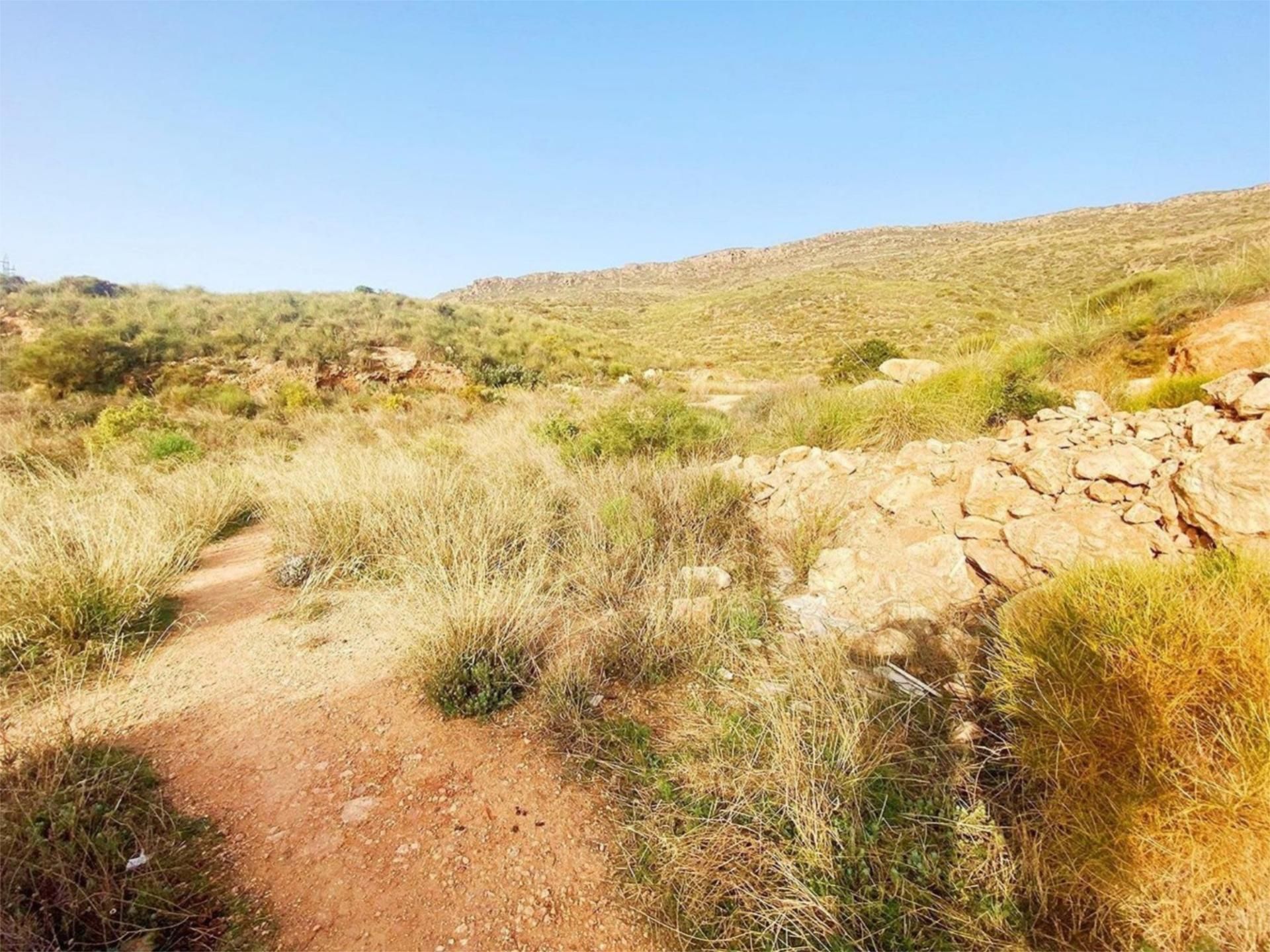 Urbanitzable en venda en Vícar