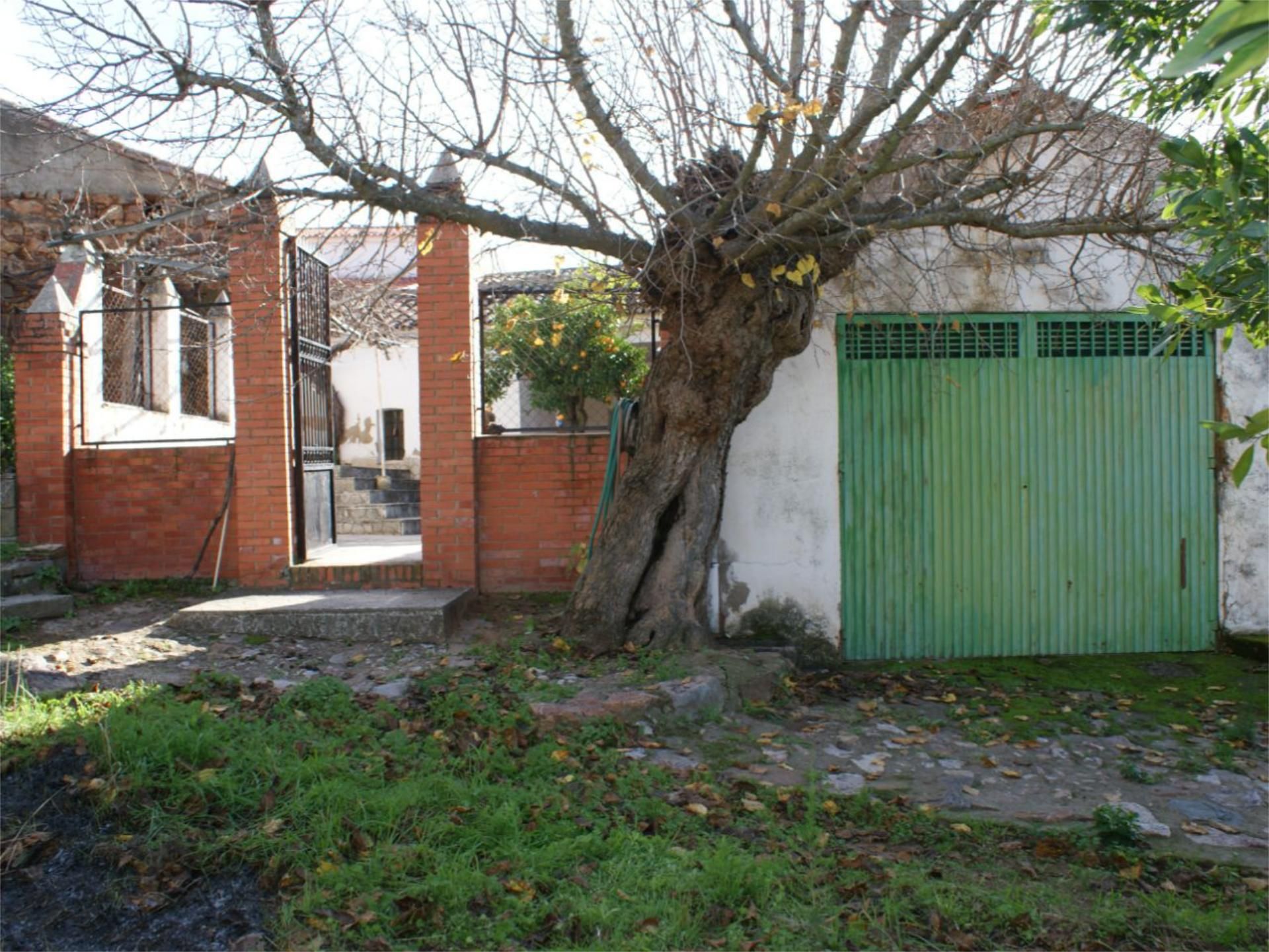 Exterior view of Country house for sale in Benquerencia de la Serena  with Private garden and Storage room