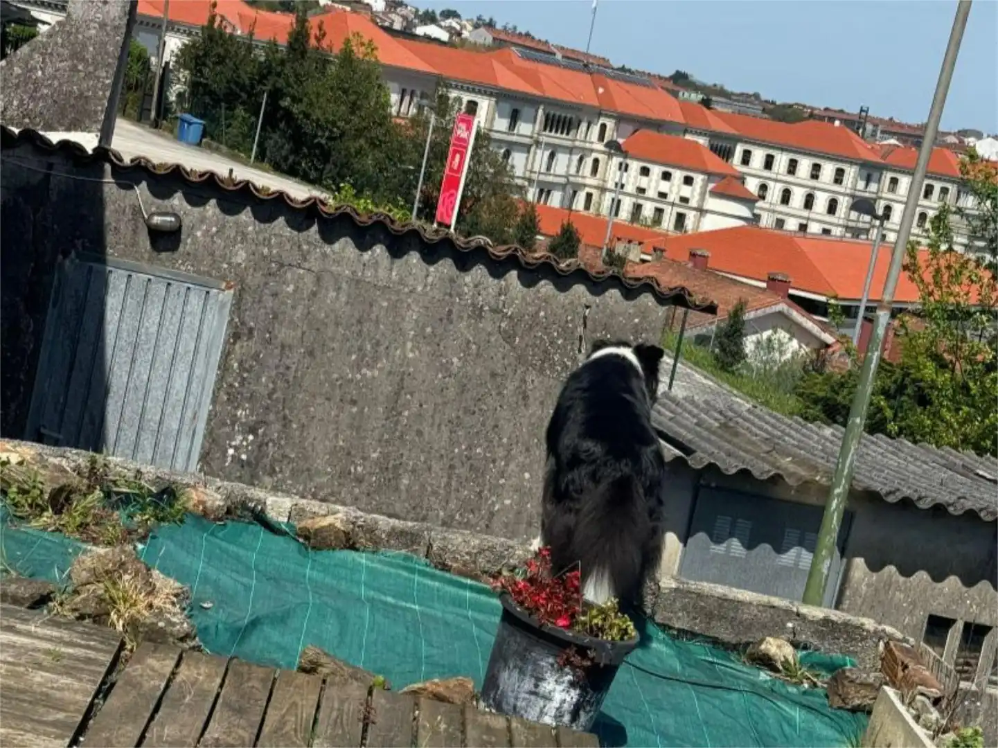 Terreno en venta en Rúa do Pino, 15, Campus Norte - San Caetano Vista exterior de Terreno en venta en Santiago de Compostela