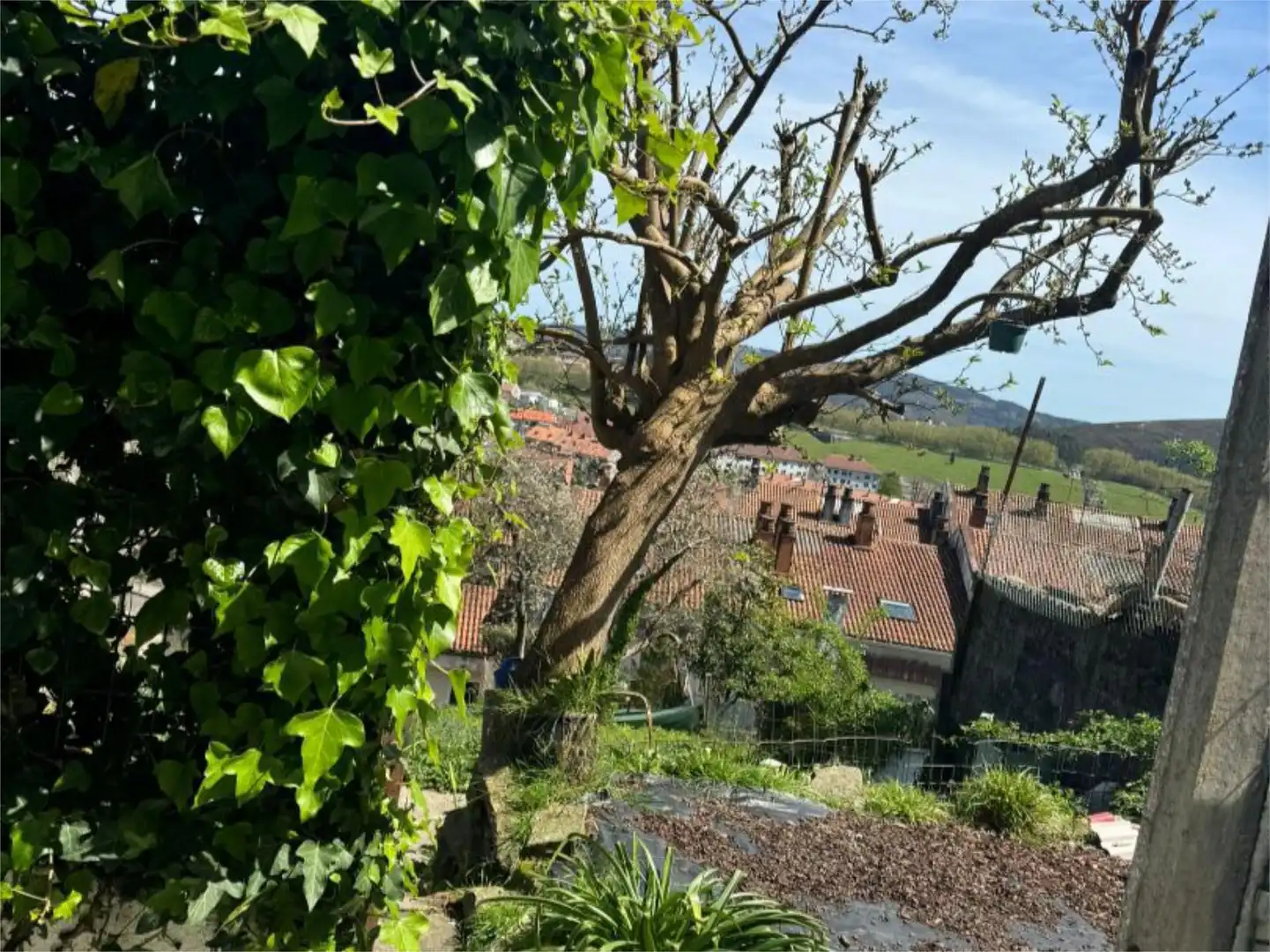 Terreno en venta en Rúa do Pino, 15, Campus Norte - San Caetano Vista exterior de Terreno en venta en Santiago de Compostela