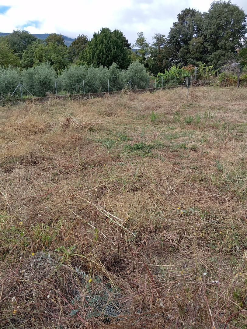 Non-constructible Land for sale in O Barco de Valdeorras  