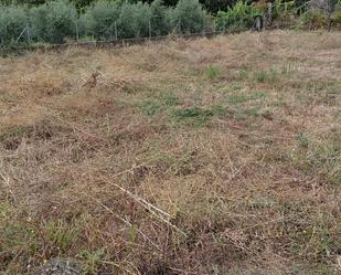 Non-constructible Land for sale in O Barco de Valdeorras  