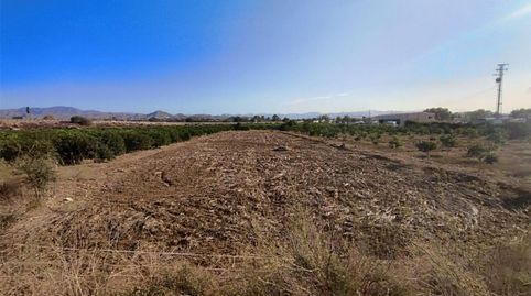 No Urbanizable en venta en Barriada Doña Ana, 22, Doña Ana, Cártama - imagen 4 Foto 4 de No Urbanizable en venta en Barriada Doña Ana, 22, Doña Ana, Cártama