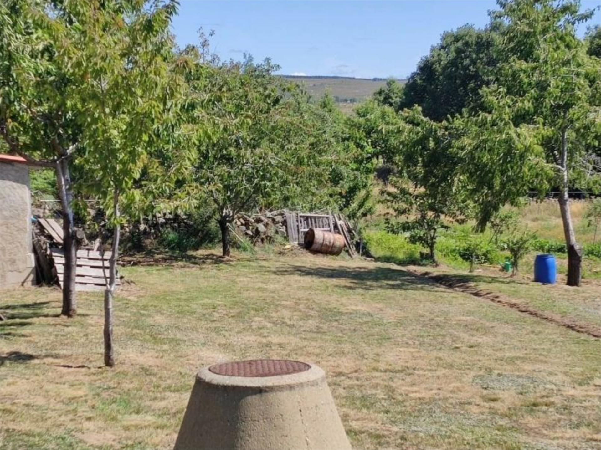 Garden of Constructible Land for sale in Quintana del Castillo