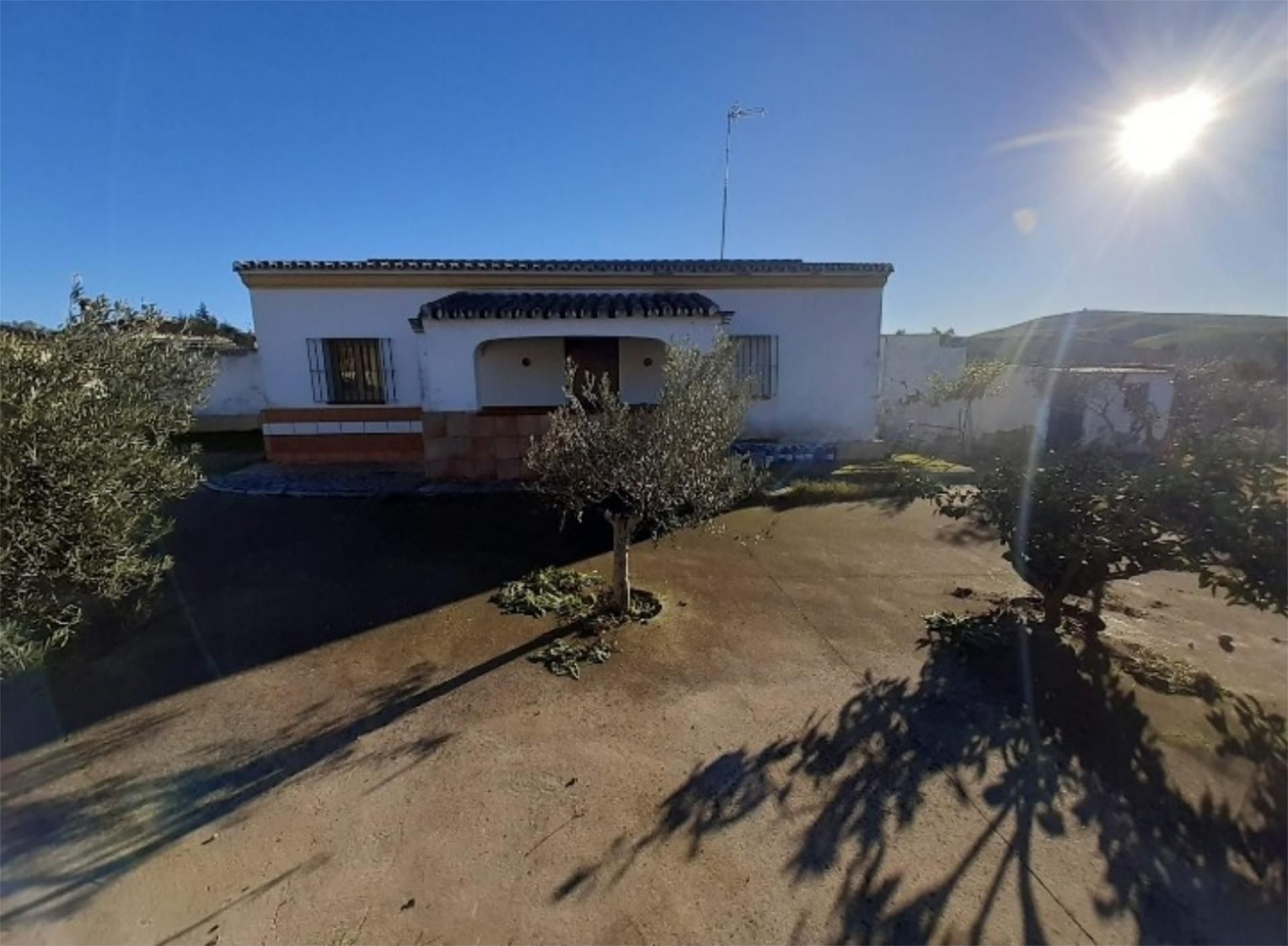 Vista exterior de Finca rústica en venda en Paterna de Rivera