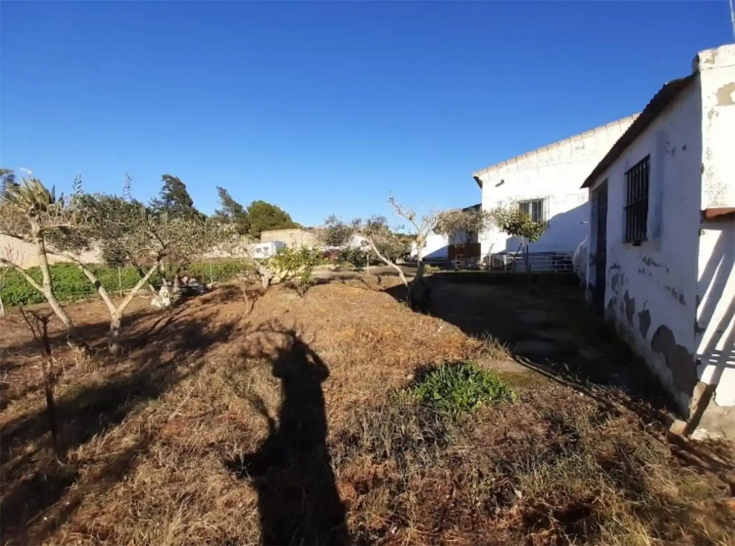 Finca rústica en venta en Calle Real, 7, Paterna de Rivera Finca rústica en venta en Paterna de Rivera