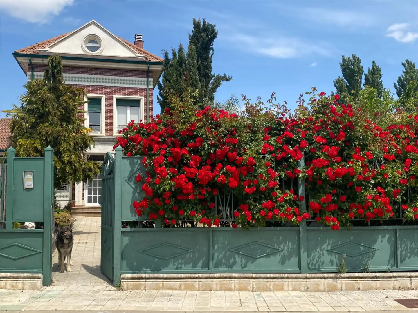 Jardí de Pis en venda en Grijota amb Calefacció, Jardí privat i Parquet