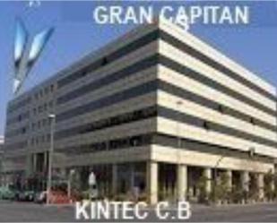 Office for sale in Avenida del Gran Capitán, 46, Santa Rosa - Valdeolleros