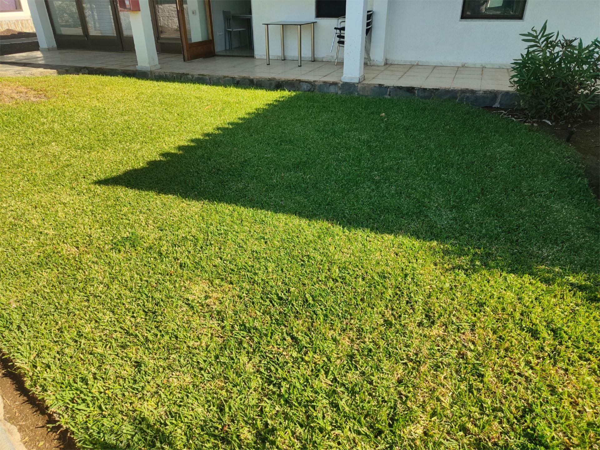 Jardí de Casa adosada en venda en San Bartolomé de Tirajana amb Terrassa