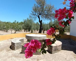 Garden of Country house for sale in Montilla