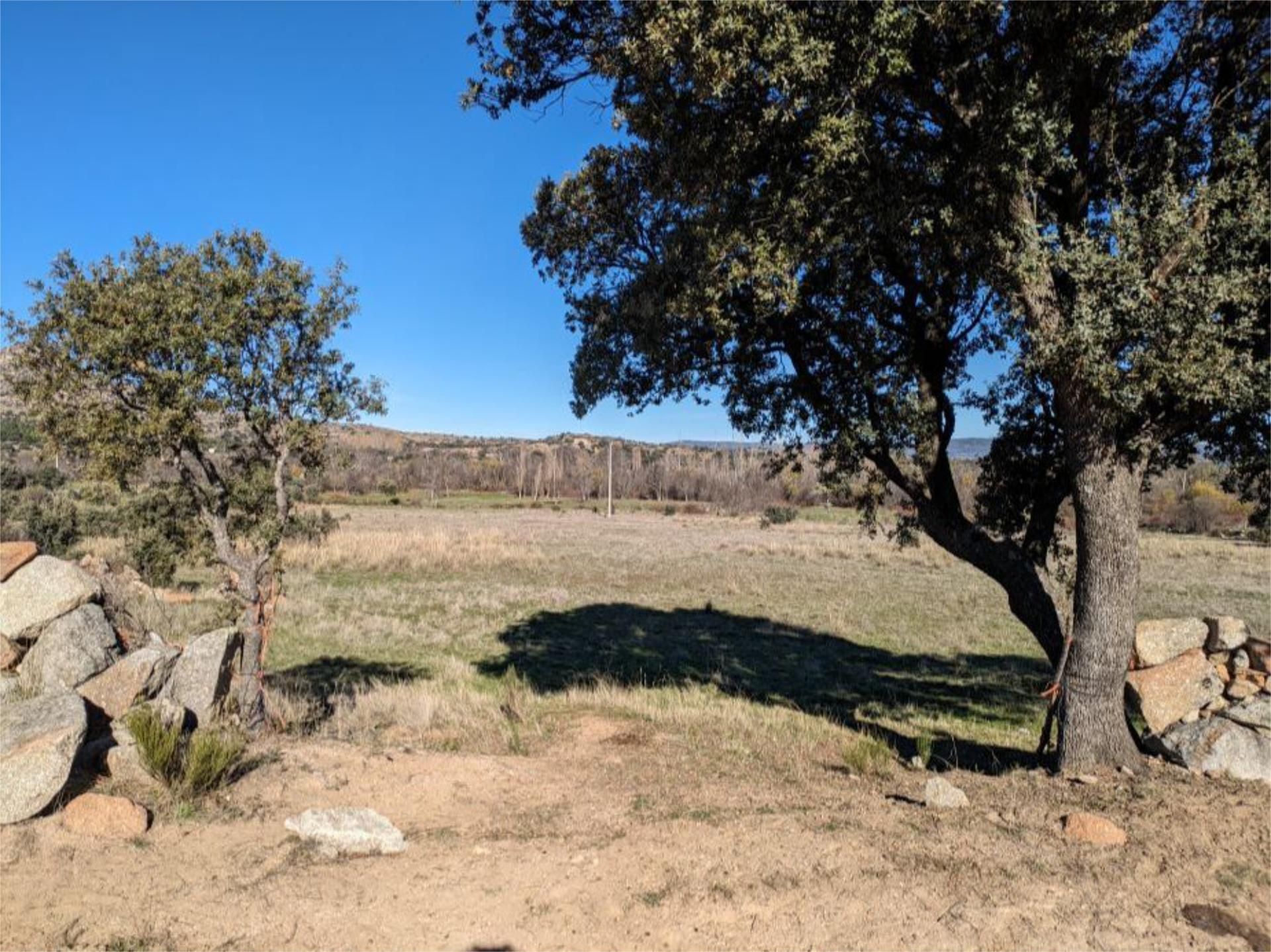 Land for sale in El Tejado