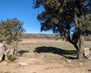 Land for sale in El Tejado