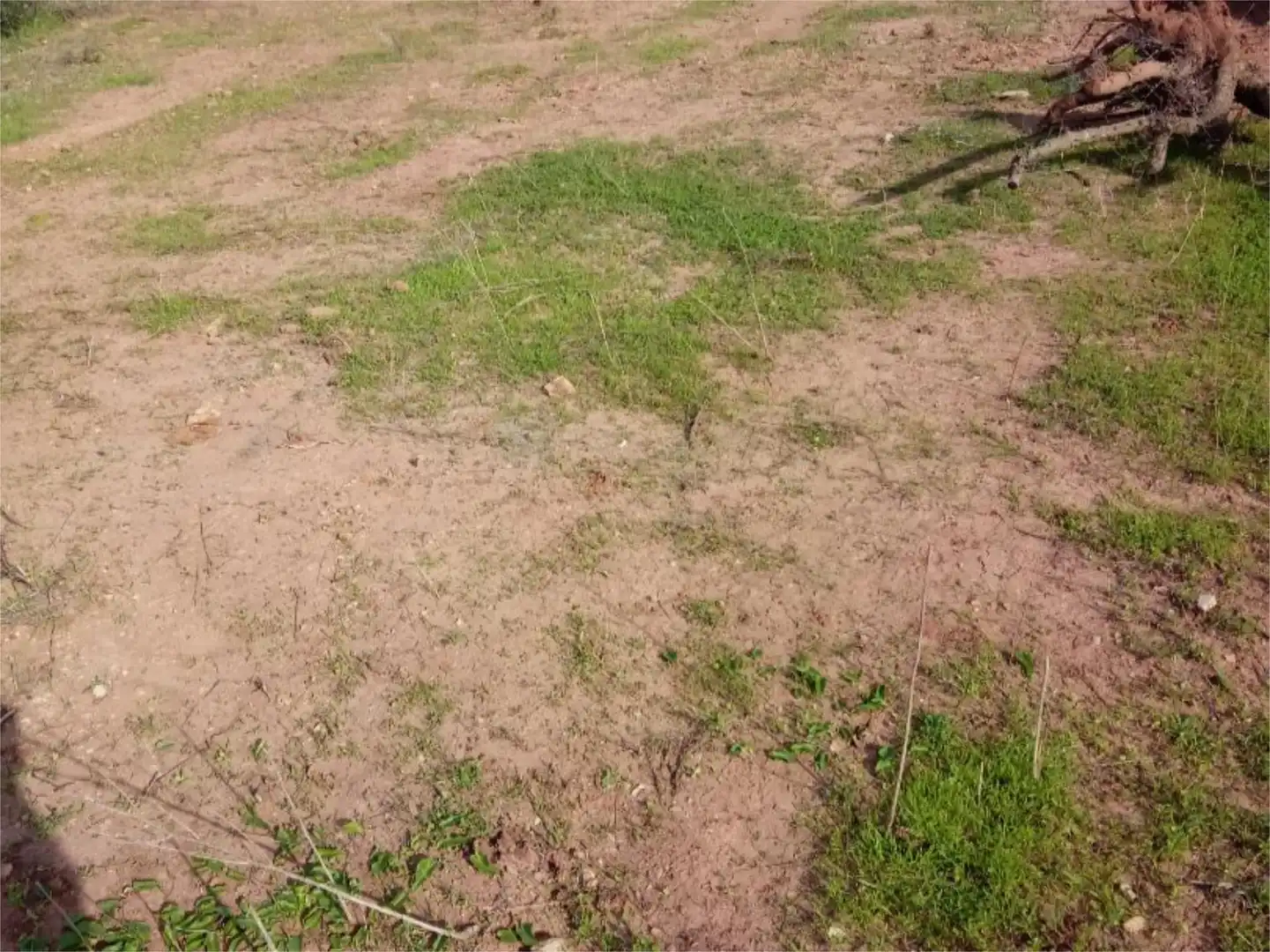 No Urbanizable en venta en Cártama