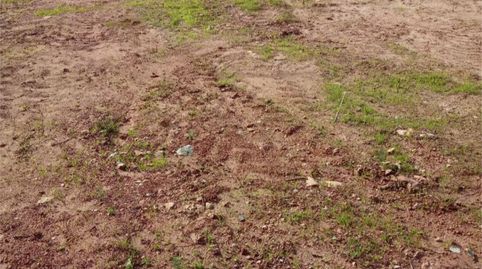 Foto 4 de No Urbanizable en venta en Diseminado Poligono 9, 168, Sexmo, Cártama