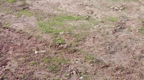 Foto 5 de No Urbanizable en venta en Diseminado Poligono 9, 168, Sexmo, Cártama