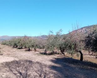 Land for sale in Huéscar