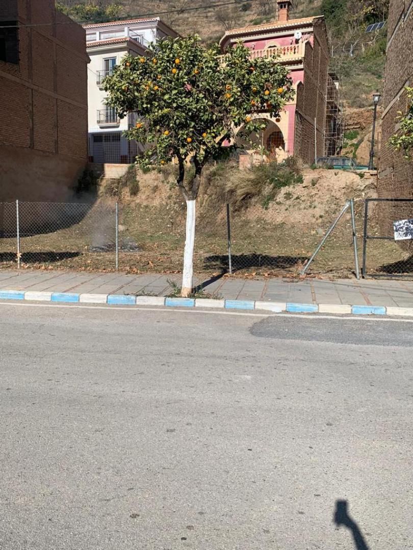 Constructible Land for sale in Lanjarón