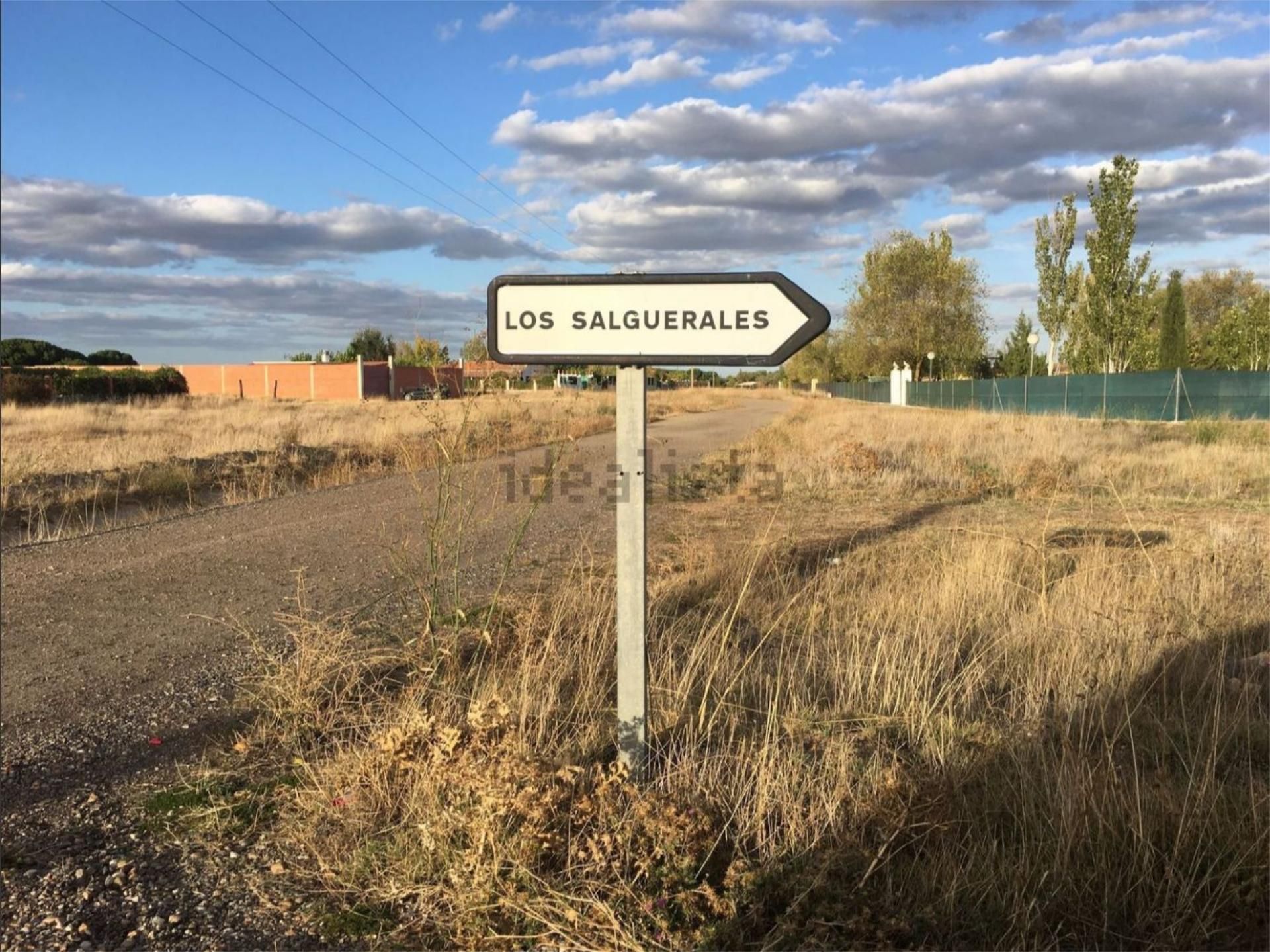 Land for sale in La Pedraja de Portillo 