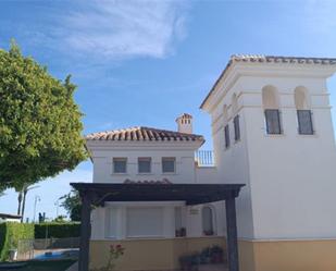 Vista exterior de Planta baixa en venda en Torre-Pacheco amb Aire condicionat, Terrassa i Piscina