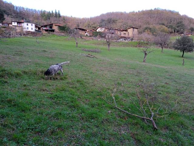 Terreno en Venta en Calle San Martín, 2 en Cillorigo de Liébana