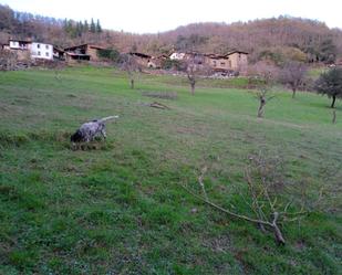 Land for sale in Cillorigo de Liébana