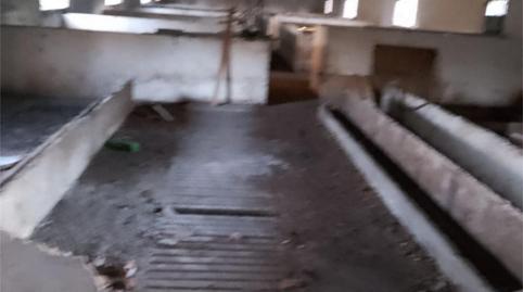 Industrial buildings for sale in Paderne de Allariz, Ourense - image 2 Photo 2 of Industrial buildings for sale in Paderne de Allariz, Ourense