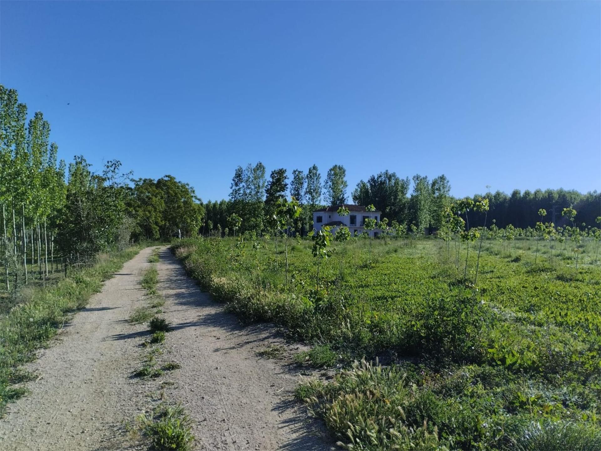 Finca rústica en venda en Purullena amb Calefacció