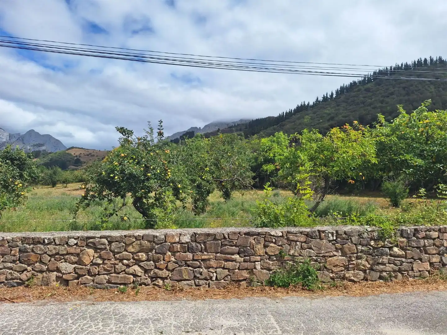 Exterior view of Residential for sale in Cillorigo de Liébana