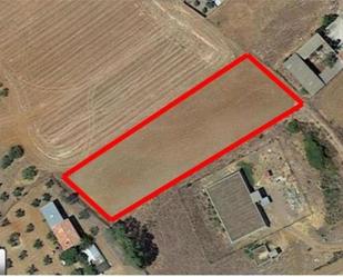 Non-constructible Land for sale in Belvís de la Jara