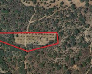 Non-constructible Land for sale in Belvís de la Jara