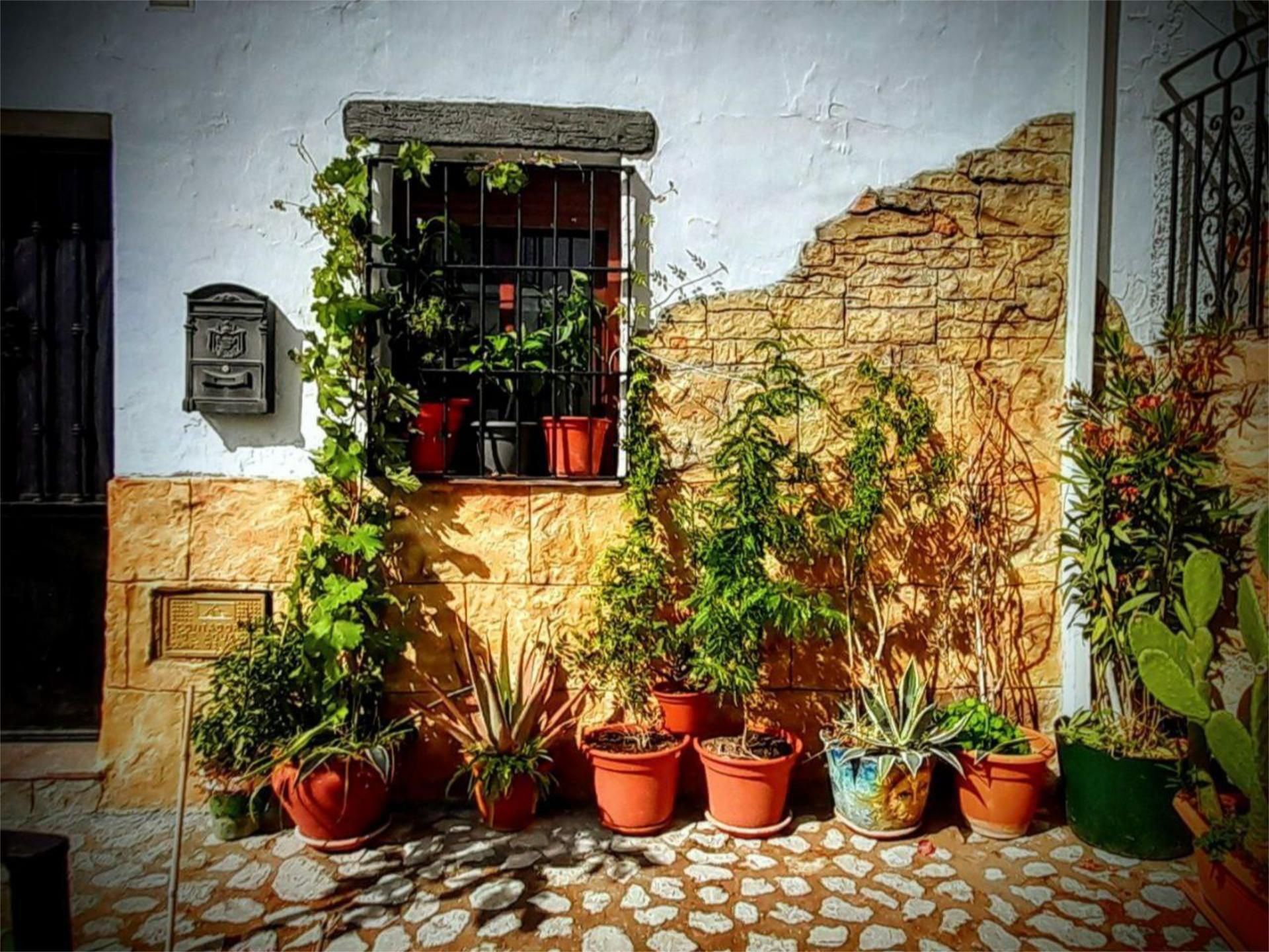 Exterior view of Single-family semi-detached for sale in Peal de Becerro  with Heating, Private garden and Terrace