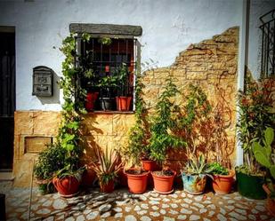 Vista exterior de Casa adosada en venda en Peal de Becerro amb Calefacció, Jardí privat i Terrassa