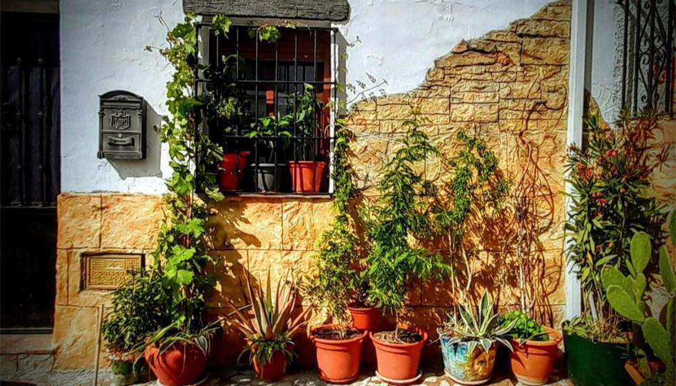 Foto 1 de Casa adosada en venda a Calle Santa Maria de la Cabeza, 10, Peal de Becerro, Jaén