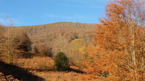 Foto 4 de Terreny en venda a Leitza, Navarra