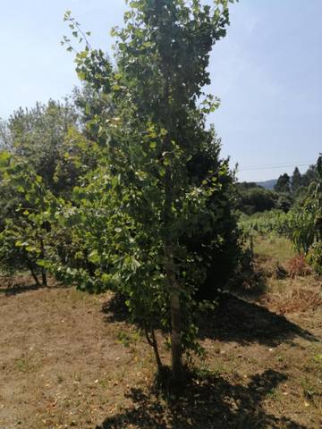 Terreno en Venta en Barrio Garaioltza, 108A en Lezama