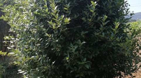 Terreno en venta en Barrio Garaioltza, 108a, Lezama, Bizkaia - imagen 4 Foto 4 de Terreno en venta en Barrio Garaioltza, 108a, Lezama, Bizkaia