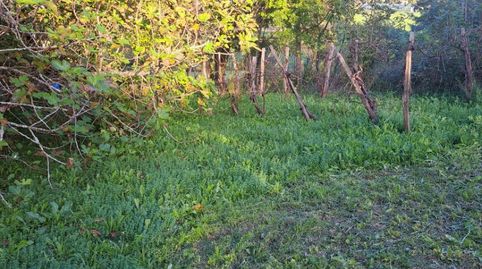 Terreno en venta en Barrio Garaioltza, 108a, Lezama, Bizkaia - imagen 2 Foto 2 de Terreno en venta en Barrio Garaioltza, 108a, Lezama, Bizkaia