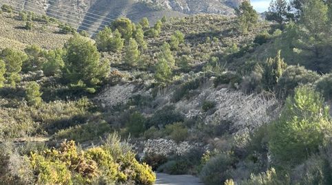 Foto 5 de Finca rústica en venta en Tibi, Alicante