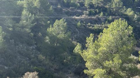 Foto 4 de Finca rústica en venta en Tibi, Alicante